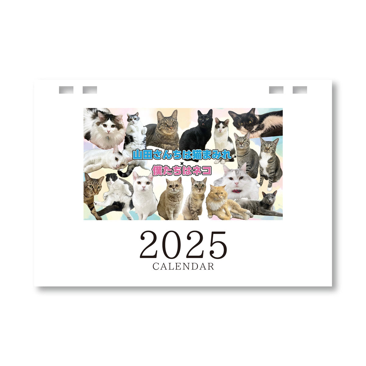 山田さんちは猫まみれ×僕たちは猫 カレンダー2025