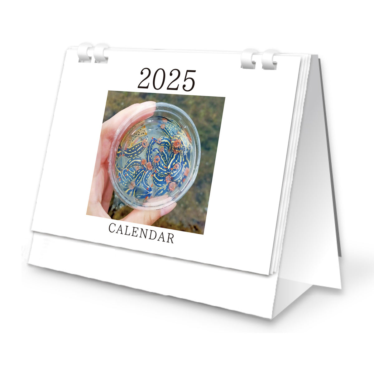 ゆすら2025カレンダー