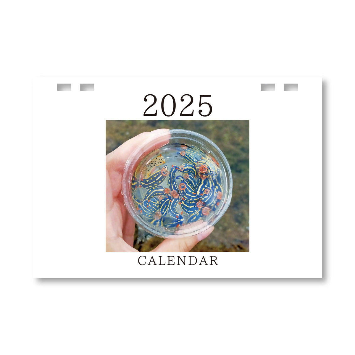 ゆすら2025カレンダー