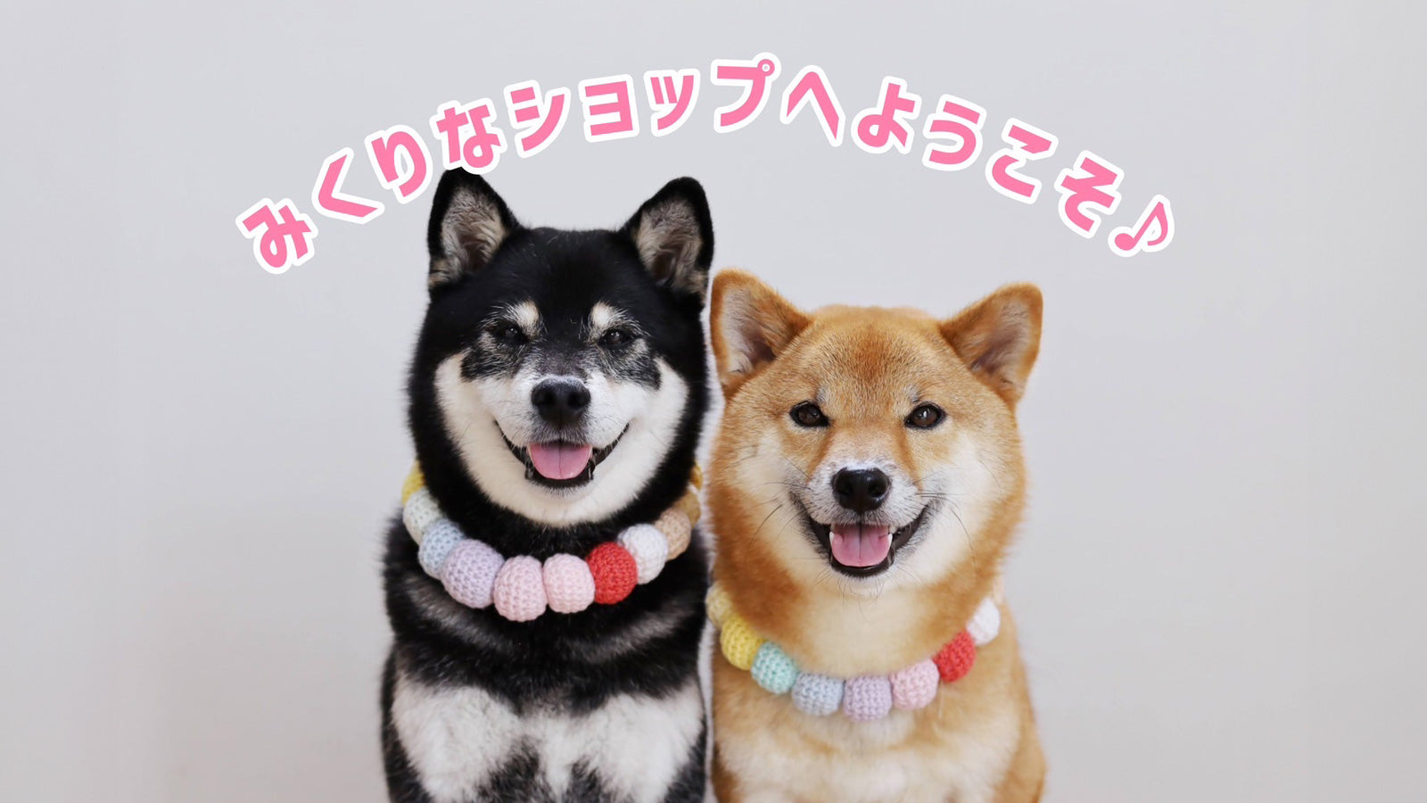 柴犬みくりな