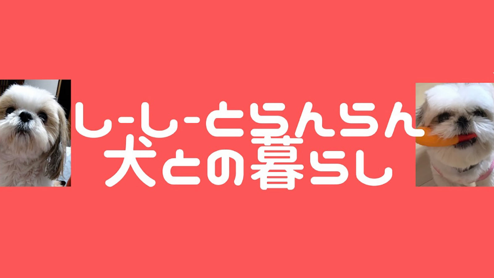 しーしーとらんらんのお家