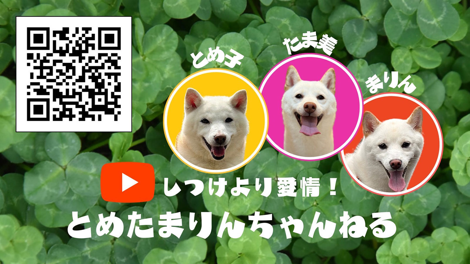 とめたまりん – GoodsFy
