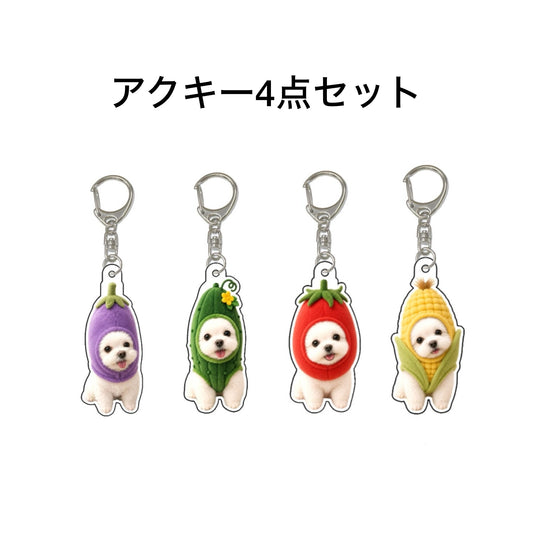 アクキーセット
