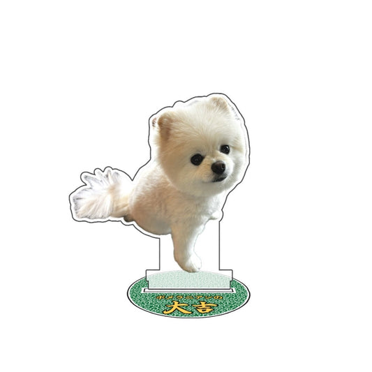 大吉アクスタA