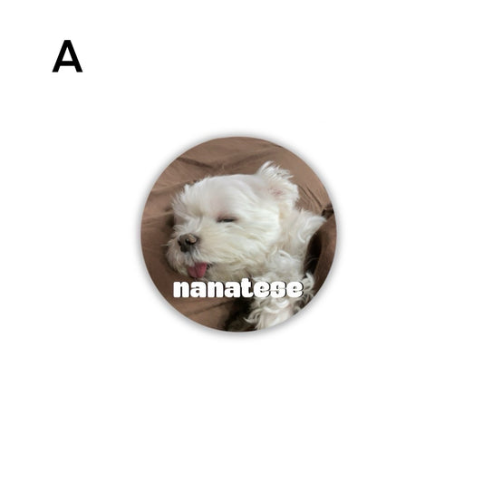 Nanatese 缶バッジ