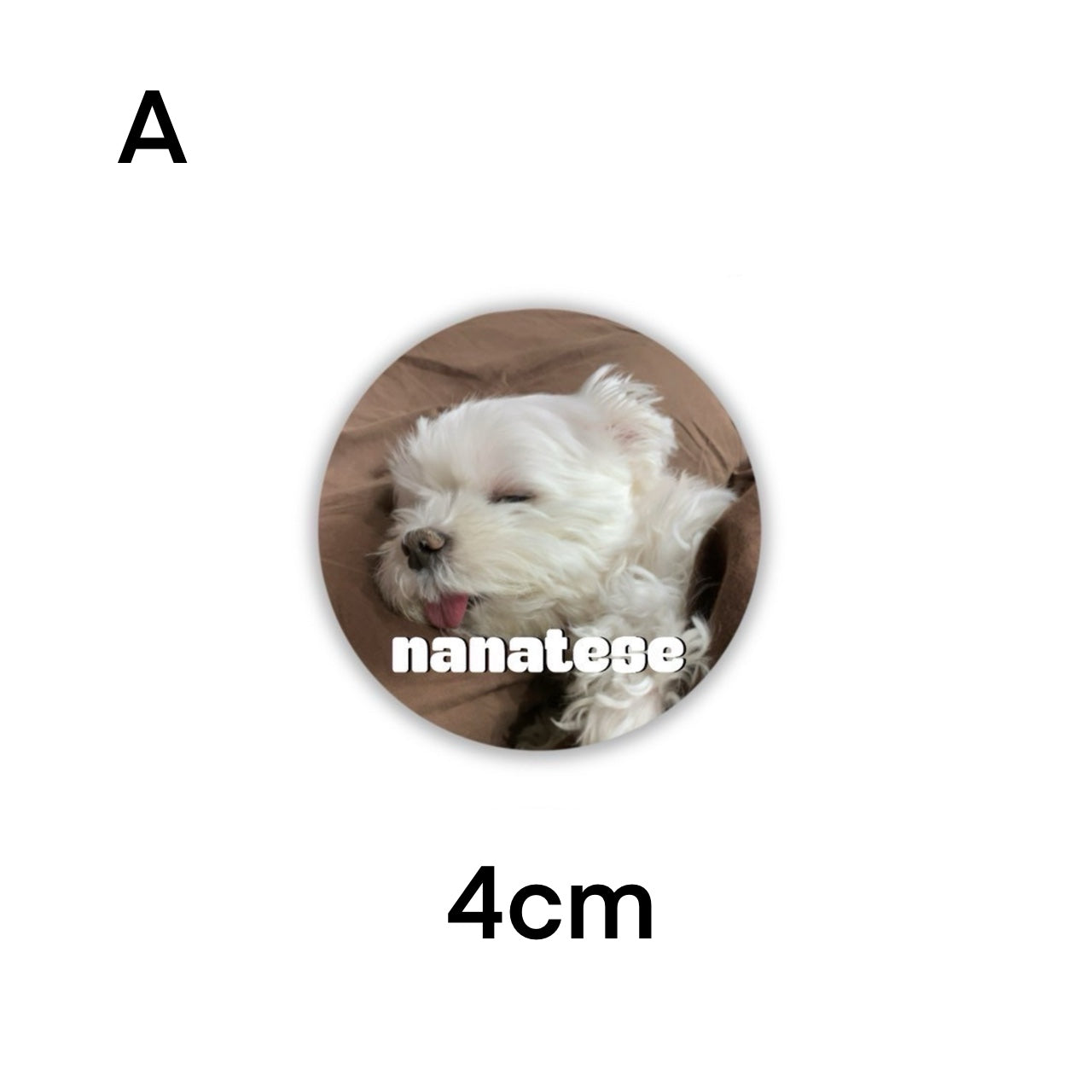 Nanatese 缶バッジ