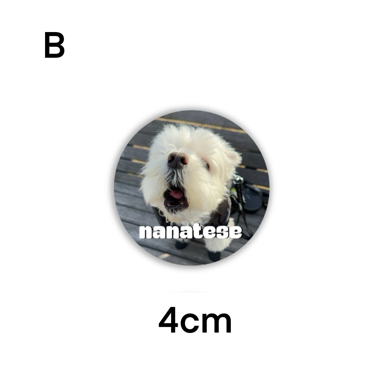 Nanatese 缶バッジ
