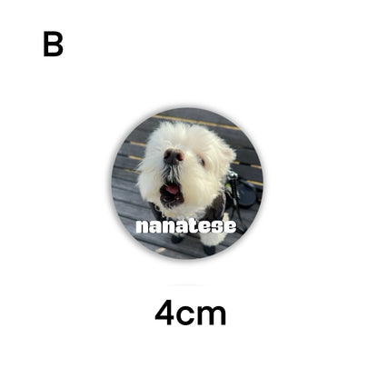 Nanatese 缶バッジ