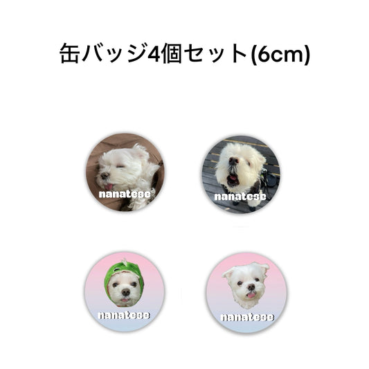 Nanatese 缶バッジセット