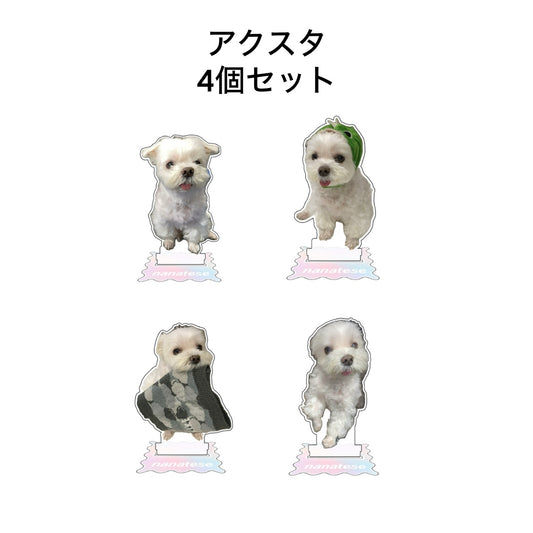Nanatese アクスタセット