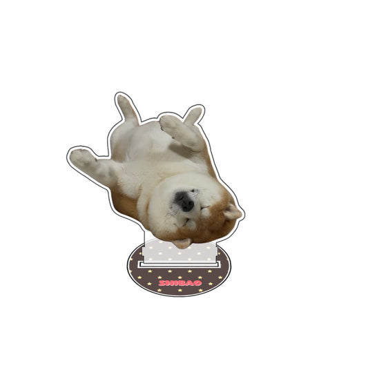 shibao アクスタB