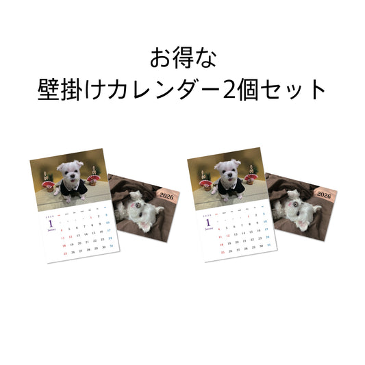 壁掛けカレンダー 2個セット