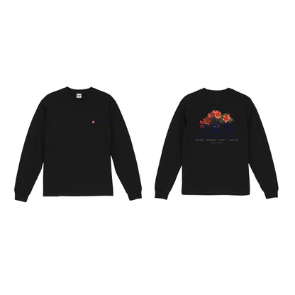 アマリリス ロンT