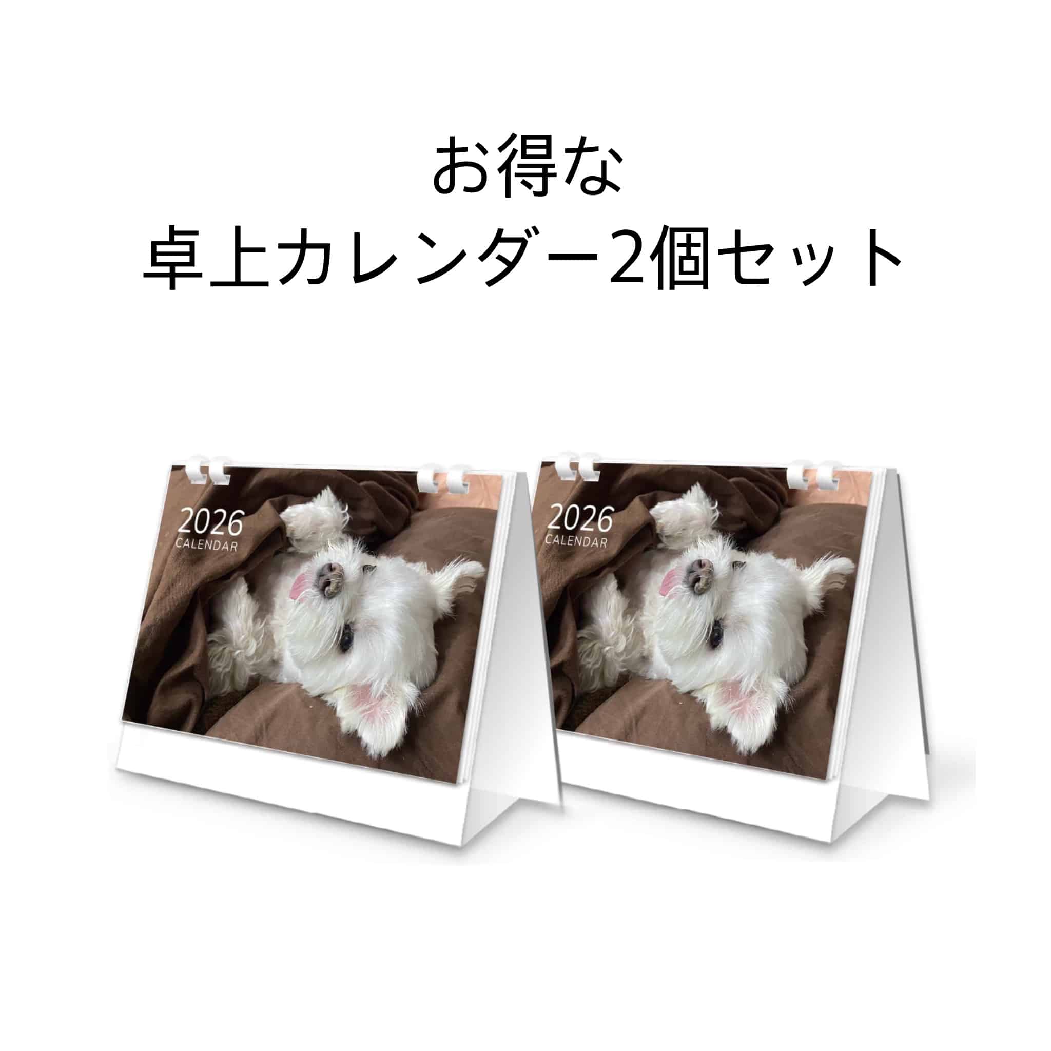 マルチーズのナナ – GoodsFy