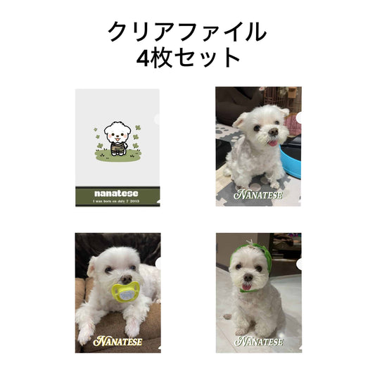 Nanatese クリアファイル4枚セット