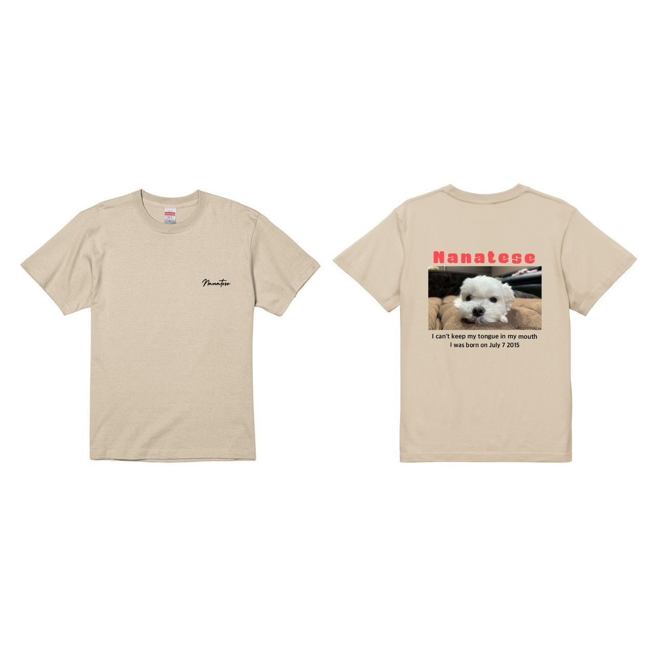 Nanatese TシャツA(カラー)