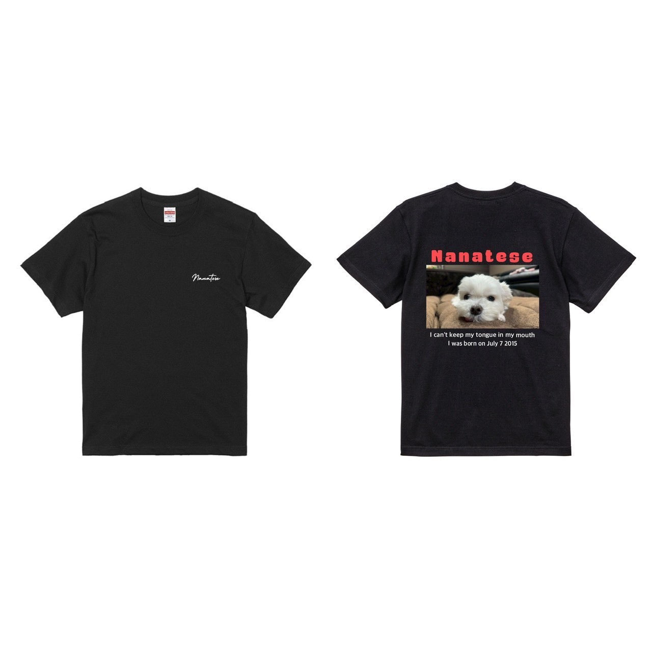Nanatese TシャツA(カラー)