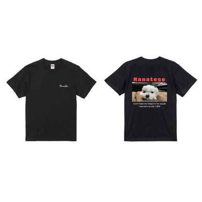 Nanatese TシャツA(カラー)