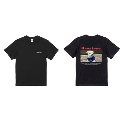 Nanatese TシャツB(カラー)