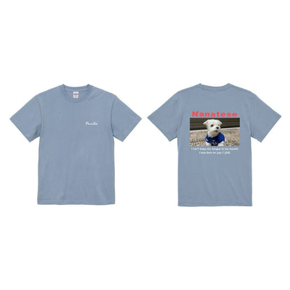 Nanatese TシャツB(カラー)