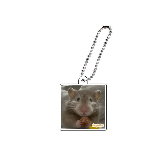 Augustine アクキー