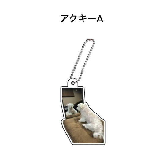 Nanatese アクキー