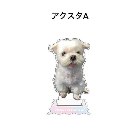 Nanatese アクスタ