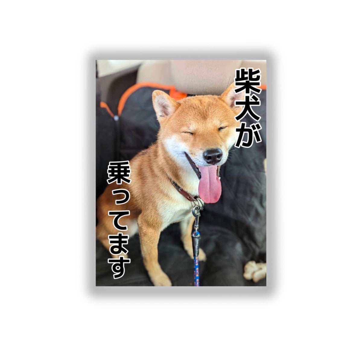 柴犬とんステッカーC