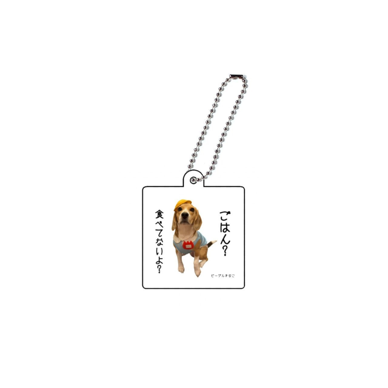 アクキー