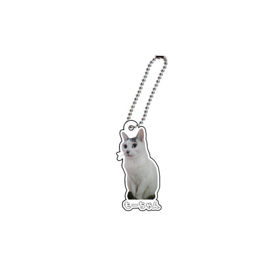 もーちゃんアクキー