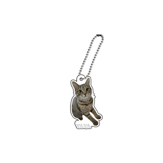 てんてんアクキー