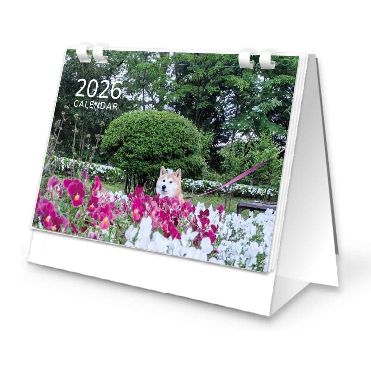 2026卓上カレンダー