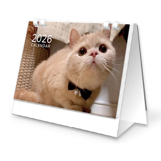 茶々丸2026卓上カレンダー