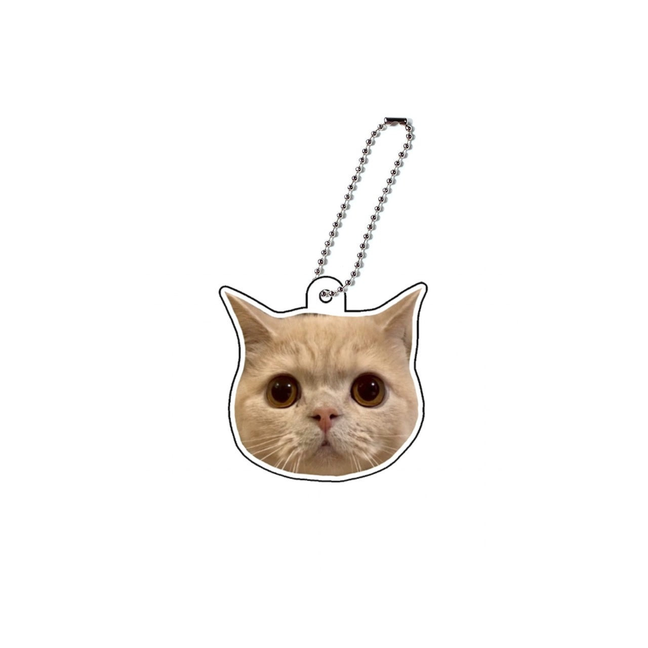 茶々丸アクキーB