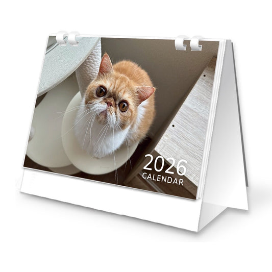 まめ吉2026卓上カレンダー