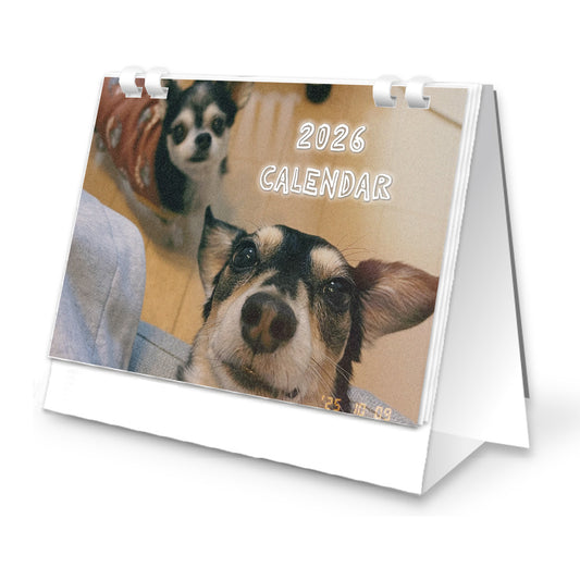 保護犬ちわっくす 大福2026 卓上カレンダー