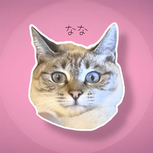 江口めぐみ