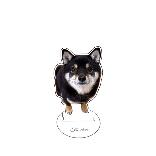 ふーちゃんアクスタ