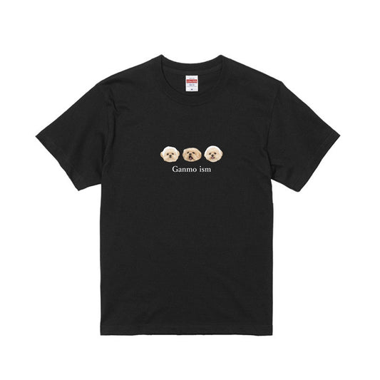 がんもTシャツ