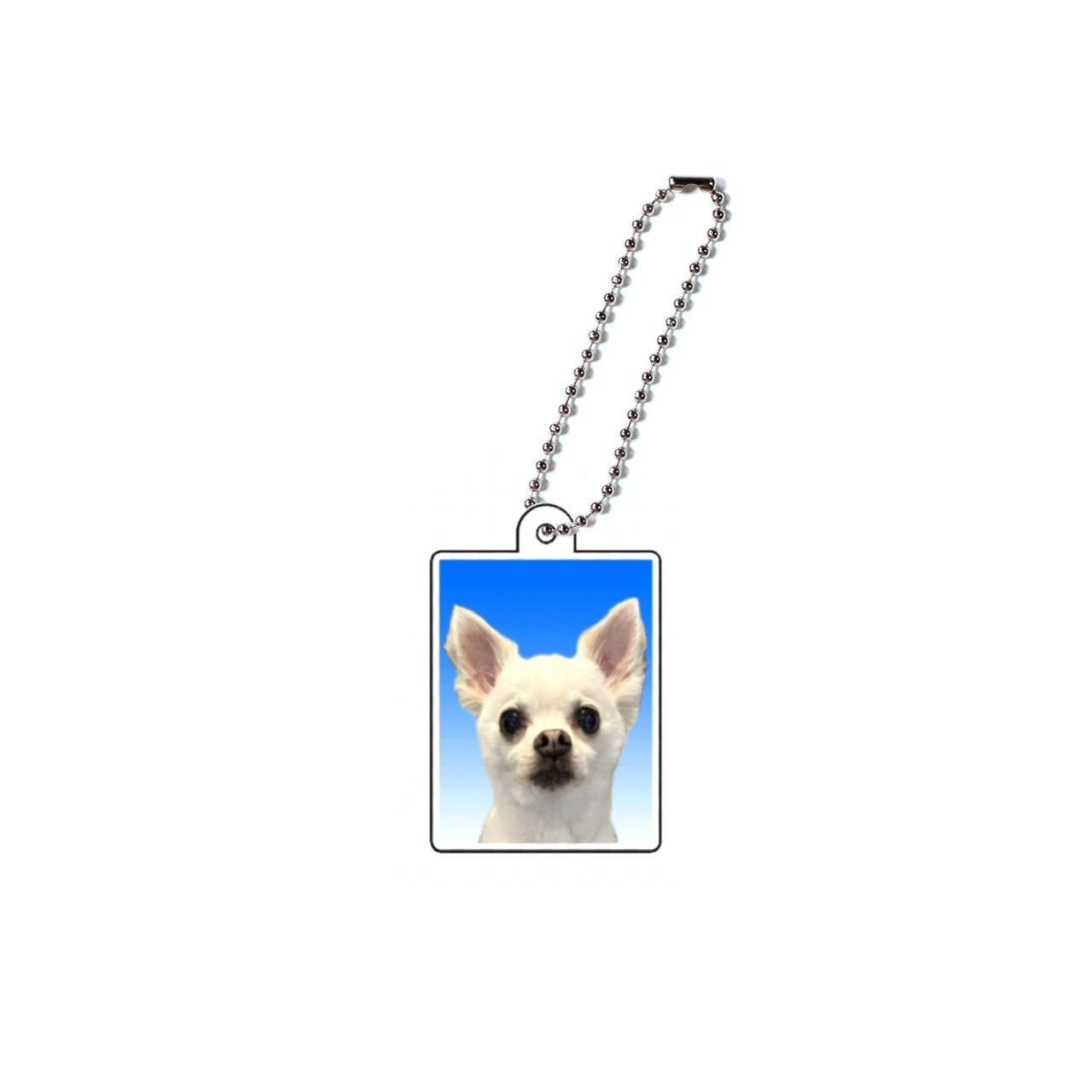 アクキー