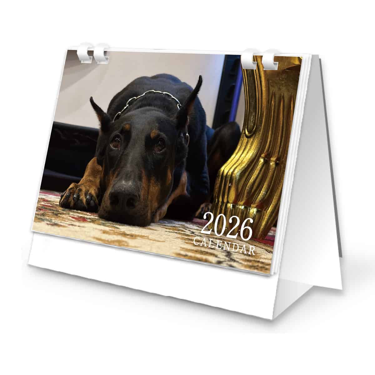 狂犬の正体2026卓上カレンダー