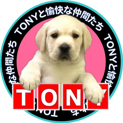 labtony