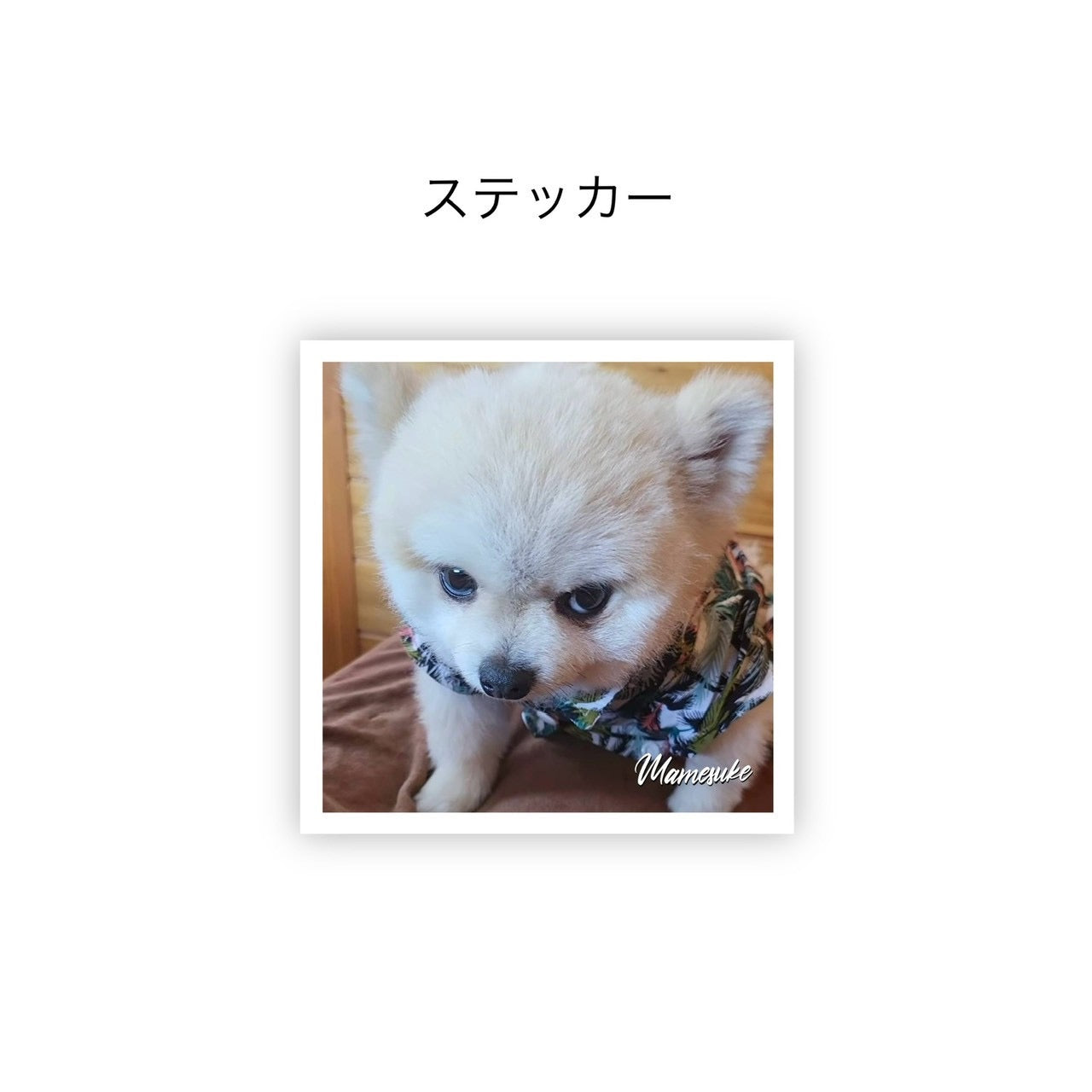 ステッカー