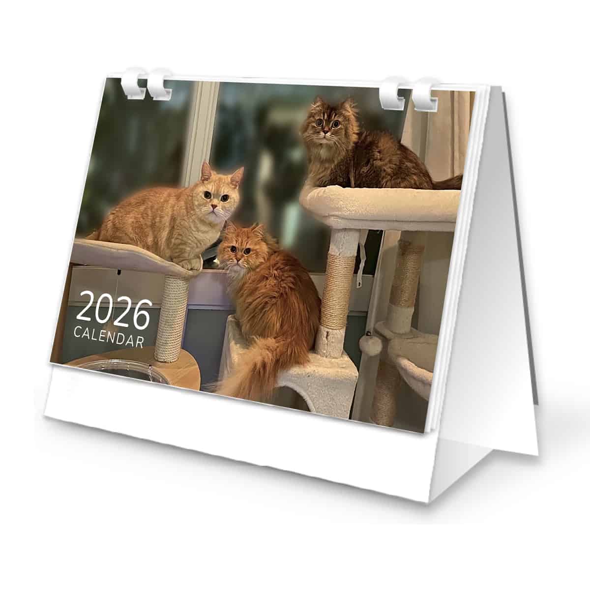 マロンフランコッペ2026カレンダー