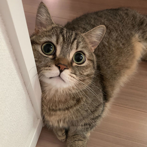 まる