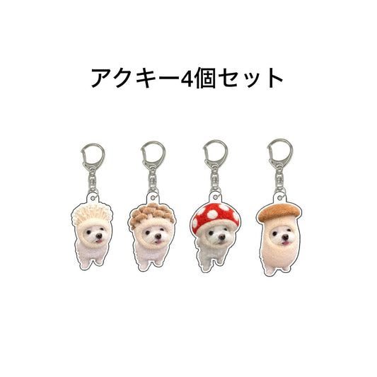 Nanatese アクキー4個セット