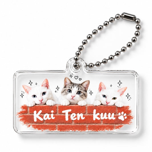 Kai Ten Kuu アクキー