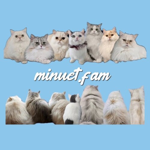 minuet.fam