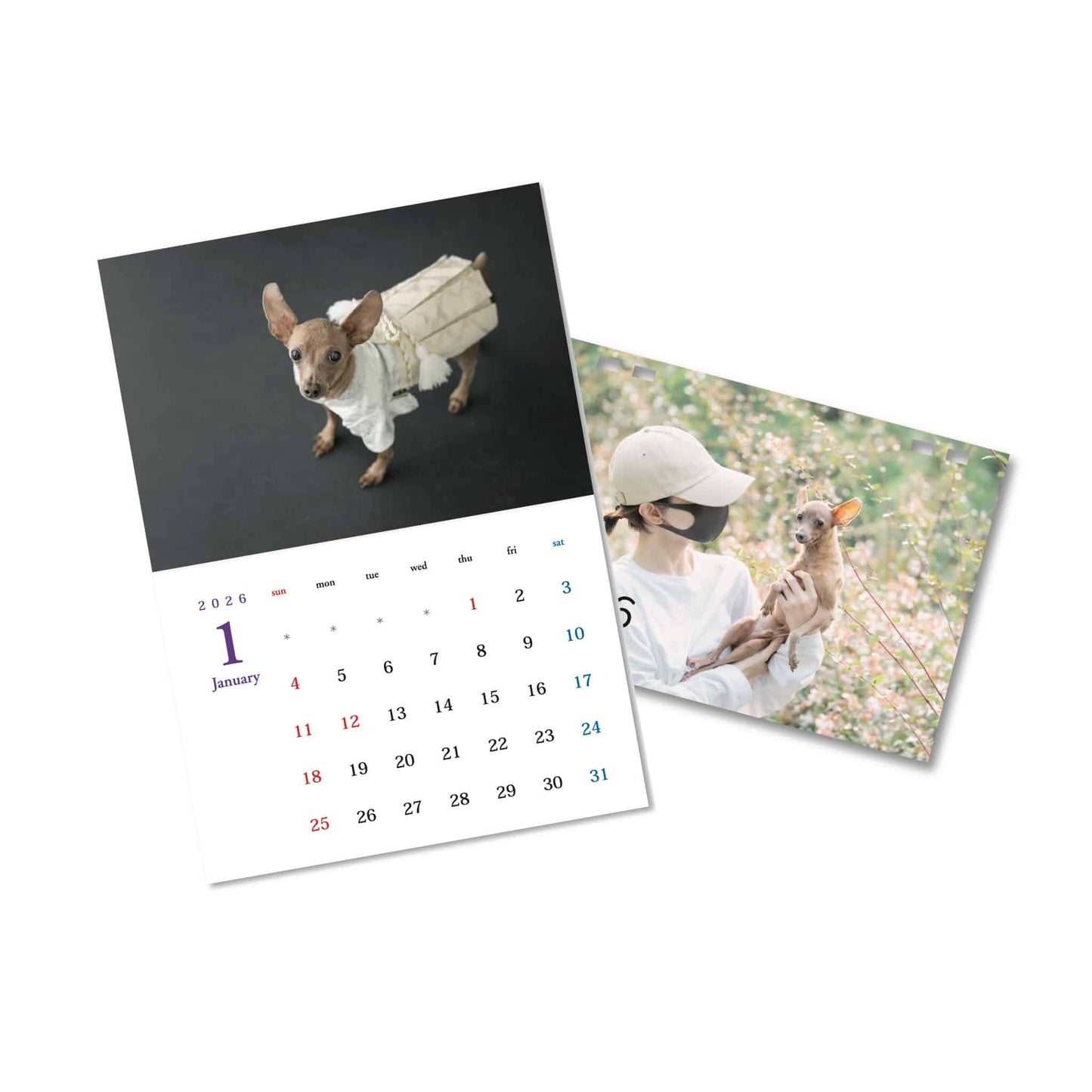 2026壁掛けカレンダー