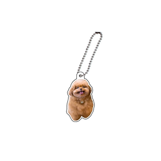 もっちゃんアクキー